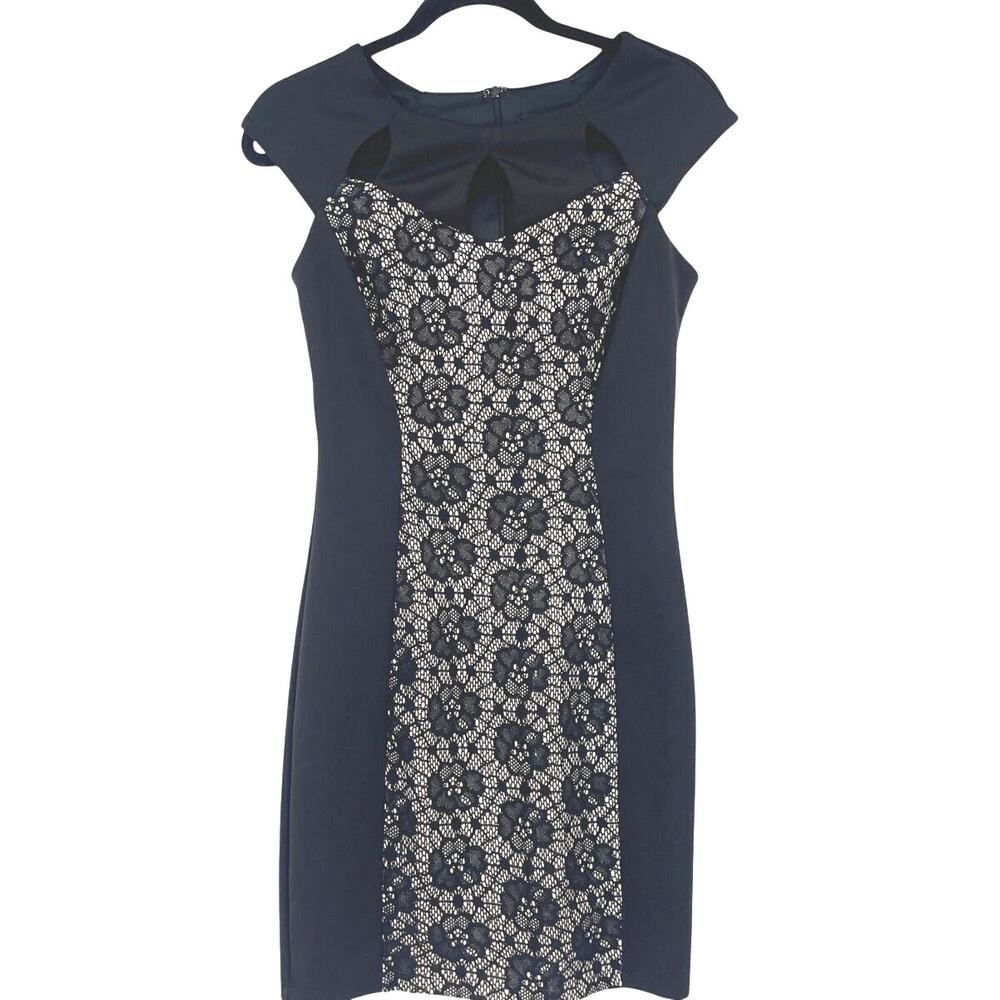 Enfocus Studio Lace Sheath Dress Sz 6 Gothic Nude Illusion Party Cutout Witchy